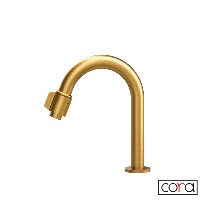 ΡΟΥΞΟΥΝΙ ΦΙΛΤΡΟΥ (ΜΕ ΔΙΑΚΟΠΤΗ) CORA BRUSHED GOLD