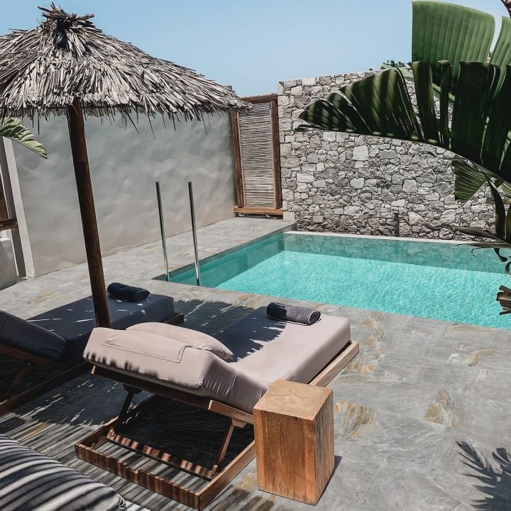 Ardesia